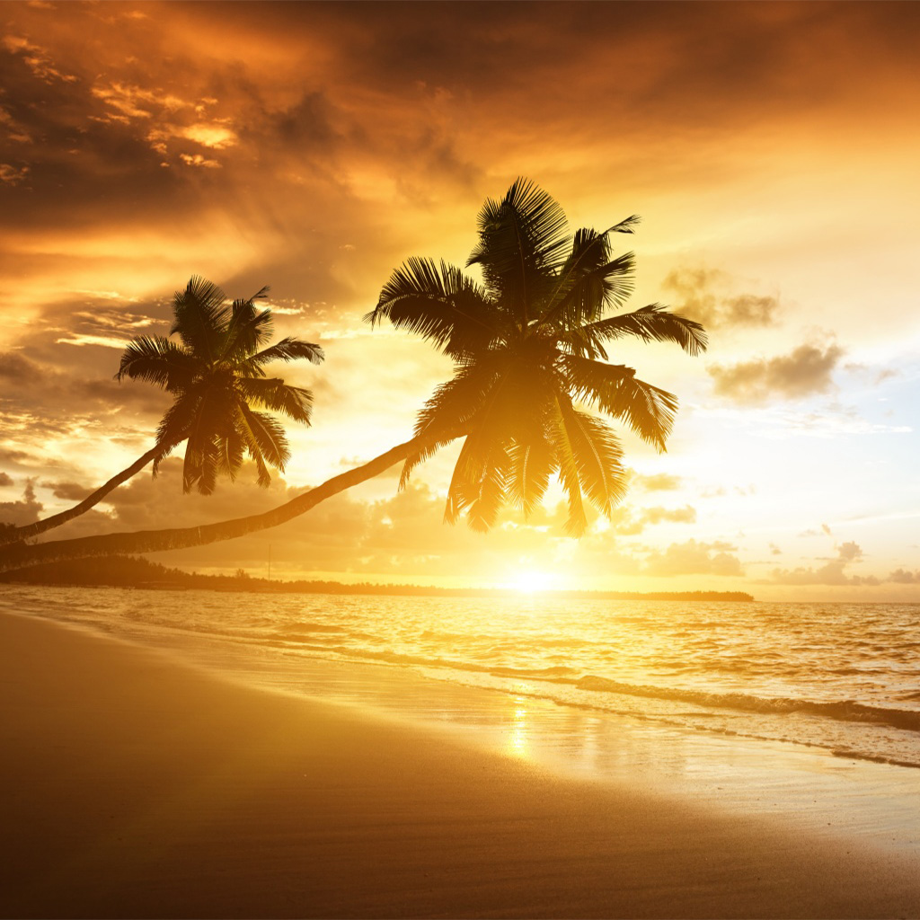 Amazing Natures Wallpapers Amazing Natures Wallpapers